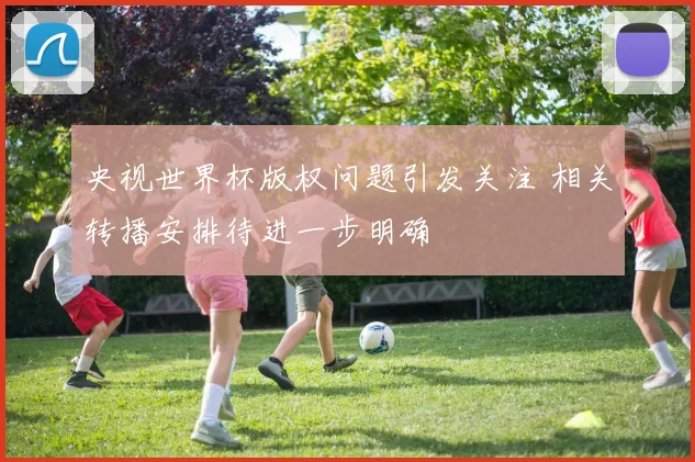 央视世界杯版权问题引发关注 相关转播安排待进一步明确