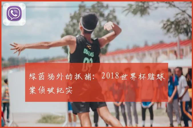 绿茵场外的抓捕：2018世界杯赌球案侦破纪实