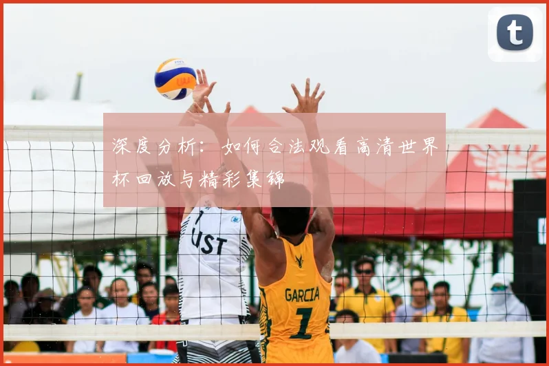 深度分析:如何合法观看高清世界杯回放与精彩集锦