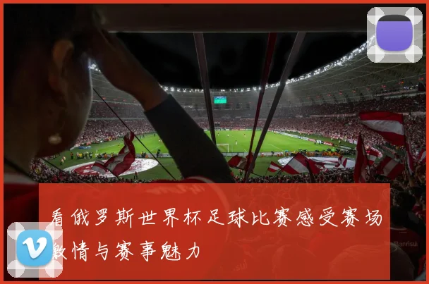 看俄罗斯世界杯足球比赛感受赛场激情与赛事魅力