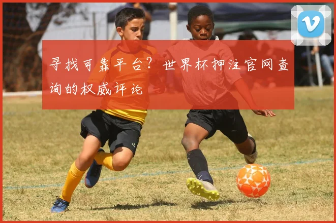 寻找可靠平台？世界杯押注官网查询的权威评论