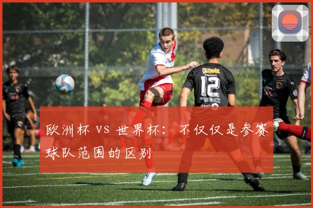 欧洲杯 vs 世界杯:不仅仅是参赛球队范围的区别