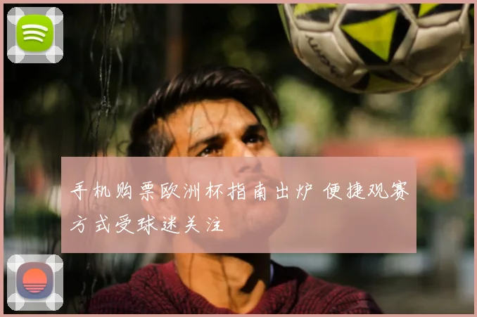 手机购票欧洲杯指南出炉 便捷观赛方式受球迷关注
