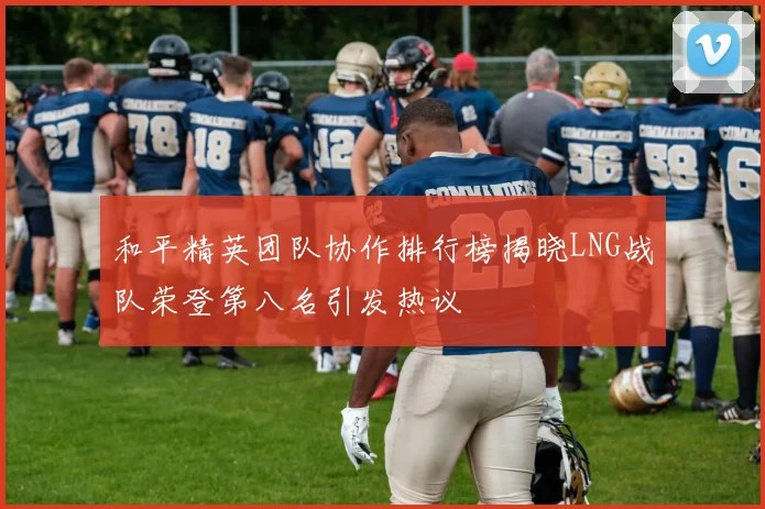 和平精英团队协作排行榜揭晓LNG战队荣登第八名引发热议