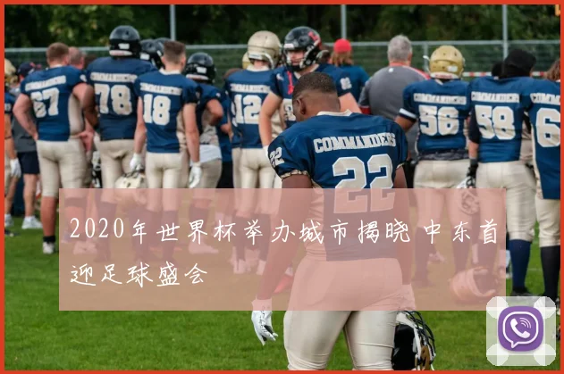 2020年世界杯举办城市揭晓 中东首迎足球盛会