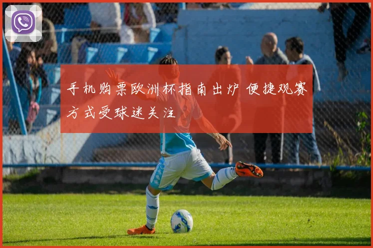 手机购票欧洲杯指南出炉 便捷观赛方式受球迷关注
