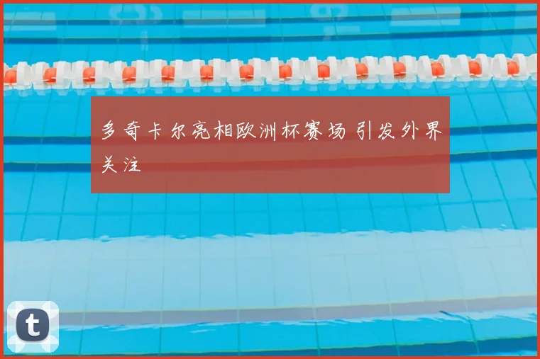 多奇卡尔亮相欧洲杯赛场 引发外界关注