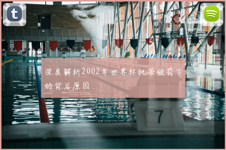 深度解析2002年世界杯托蒂被罚下的背后原因