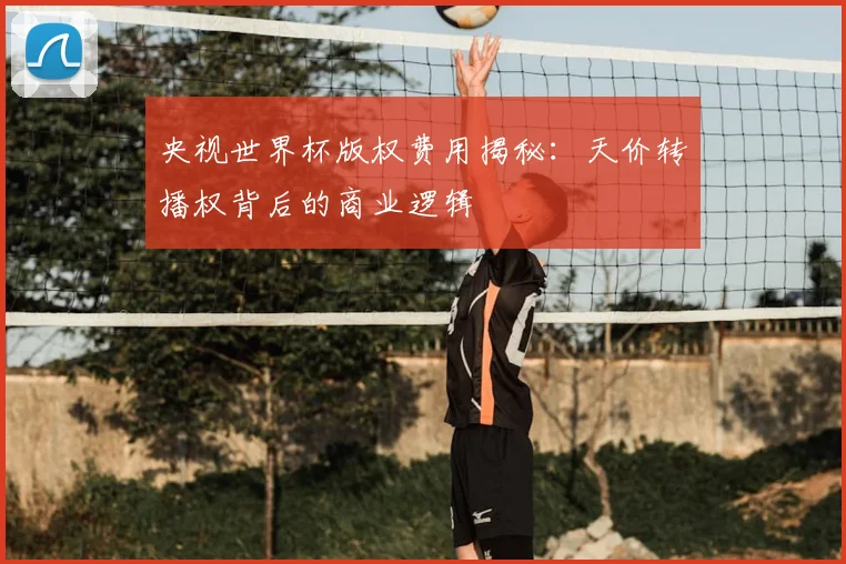 央视世界杯版权费用揭秘：天价转播权背后的商业逻辑