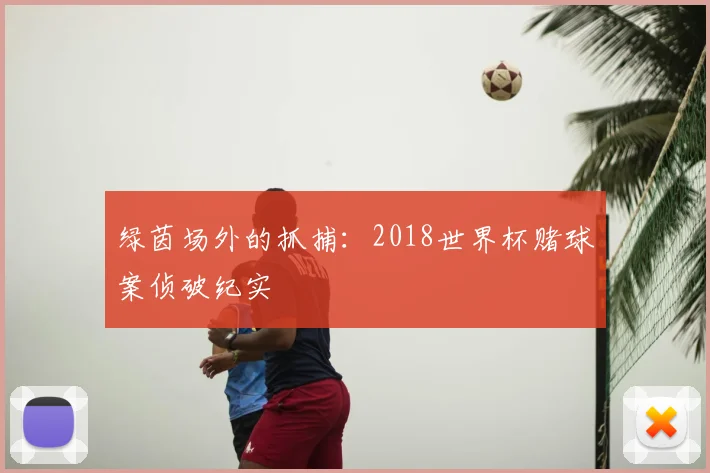绿茵场外的抓捕:2018世界杯赌球案侦破纪实