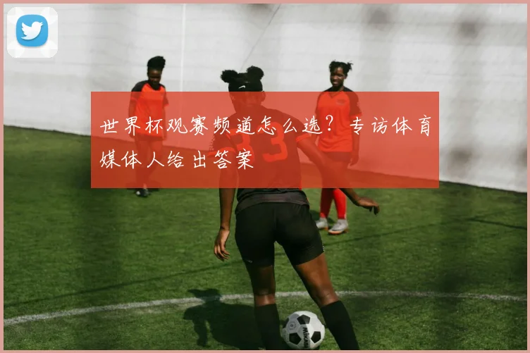 世界杯观赛频道怎么选?专访体育媒体人给出答案