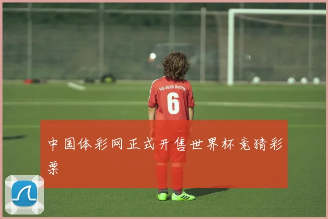 中国体彩网正式开售世界杯竞猜彩票