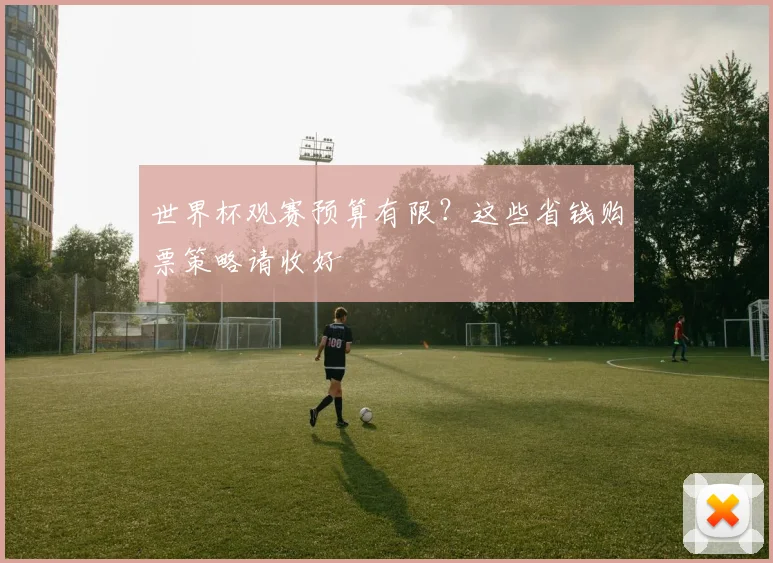 世界杯观赛预算有限？这些省钱购票策略请收好