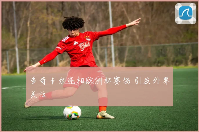 多奇卡尔亮相欧洲杯赛场 引发外界关注