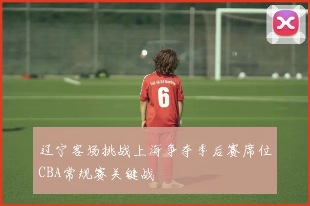 辽宁客场挑战上海争夺季后赛席位CBA常规赛关键战