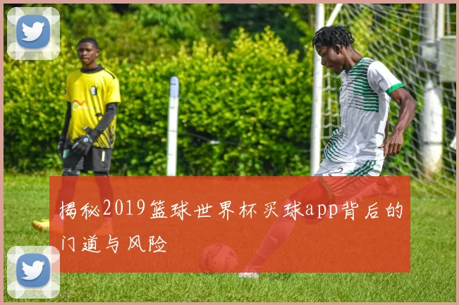 揭秘2019篮球世界杯买球app背后的门道与风险