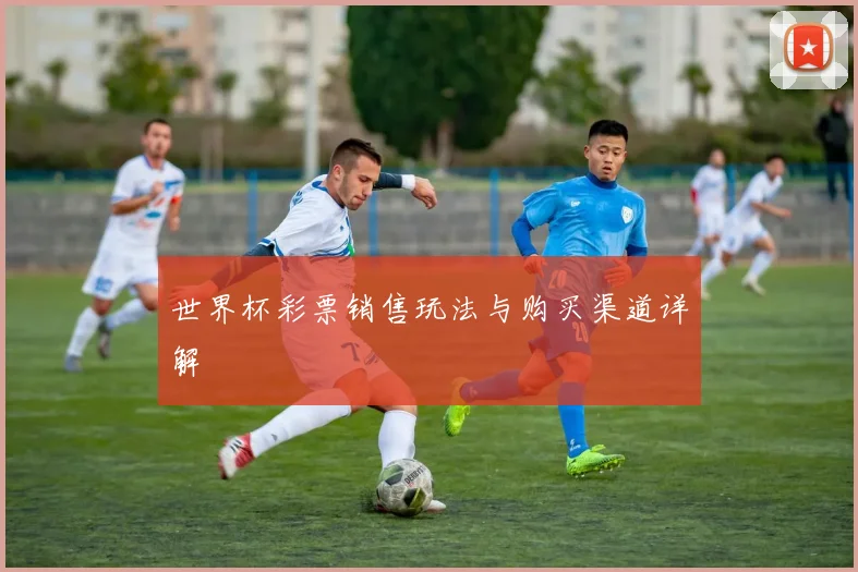 世界杯彩票销售玩法与购买渠道详解